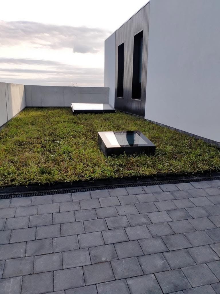 Planted roof with two rooflights beside the upper floor of the completed home in Tullybrannigan, Newcastle